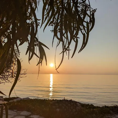 Harmony Sunset