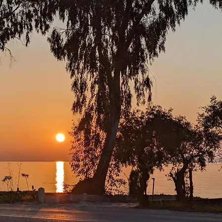 Harmony Sunset